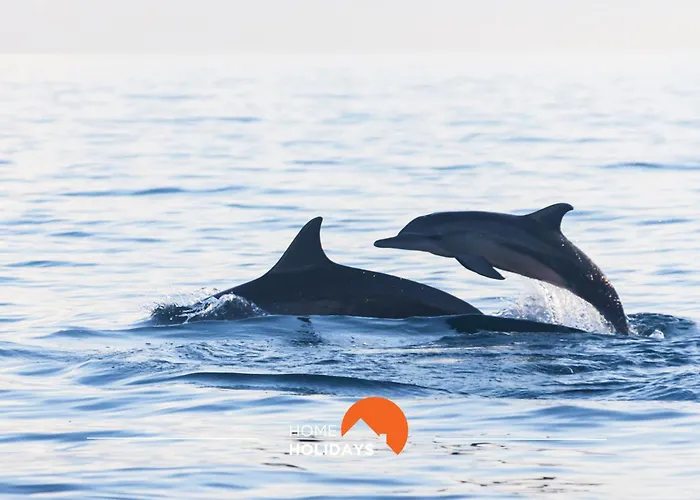 #121 Aconchegante T1 Em By Holidays Albufeira