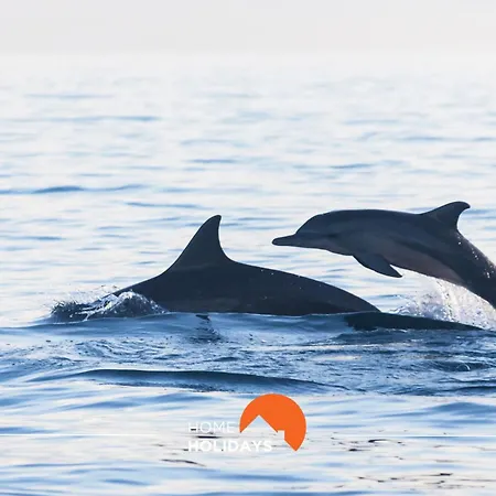 #121 Aconchegante T1 Em By Holidays Albufeira